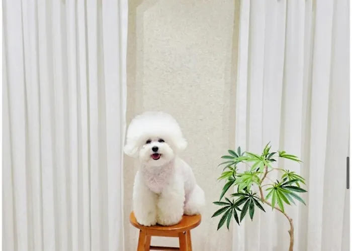 광안사계스테이 Gwangansagyestay Пусан